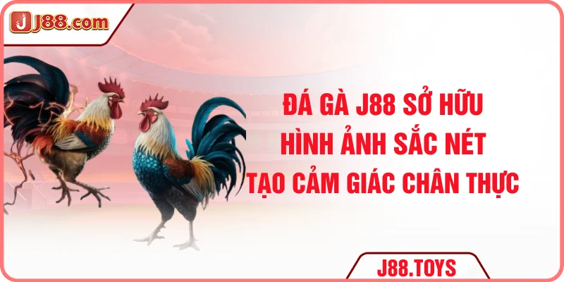Đá gà J88 sở hữu hình ảnh sắc nét, tạo cảm giác chân thực