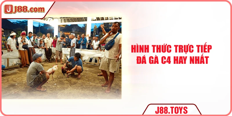 Hình thức trực tiếp đá gà C4 hay nhất