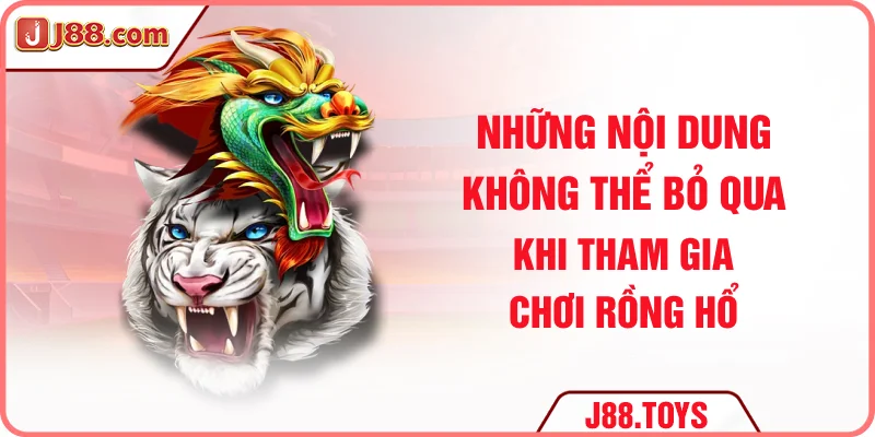 Những nội dung không thể bỏ qua khi tham gia chơi rồng hổ