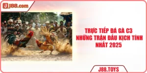 Trực Tiếp Đá Gà C3 - Những Trận Đấu Kịch Tính Nhất 2025