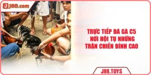 Trực Tiếp Đá Gà C5 - Nơi Hội Tụ Những Trận Chiến Đỉnh Cao